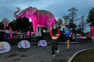 BIB: 
                            <button type="button" onclick="openModal(26529666)" class="btn btn-primary btn-sm float-right btn-popup" data-toggle="modal" data-target=".modal-high-quality">
                        <i class="fas fa-shopping-cart"></i> Add to Cart
                    </button>
                                            <button type="button" onclick="isThisMe(26529666, true)" class="btn btn-success btn-sm float-right btn-popup btn-isme hidden" data-toggle="tooltip" data-placement="bottom" title="นี่คือรูปของคุณใช่ไหม คลิกที่นี่เพื่อเอาเข้าอัลบั้ม">
                        <i class="fas fa-plus"></i> Add to album
                    </button>
                    <button type="button" onclick="isThisMe(26529666, false)" class="btn btn-warning btn-sm float-right btn-popup btn-isnotme hidden">
                        <i class="fas fa-ban"></i> Remove from album
                    </button>